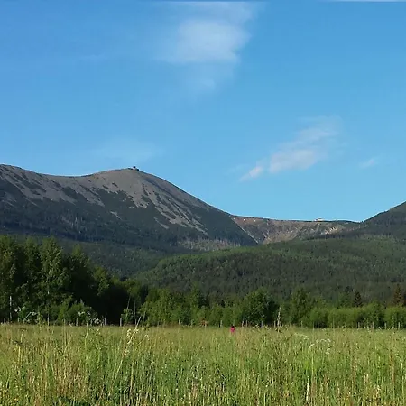 U Leszka 招待所 3*