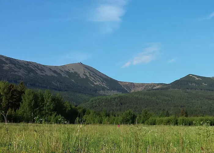 U Leszka Πανσιόν 3*